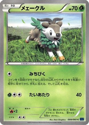 Skiddo (009/060) [XY-Bx: Collection X] 1st Edition