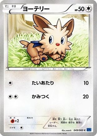 Lillipup (049/060) [XY-Bx: Collection X] 1st Edition