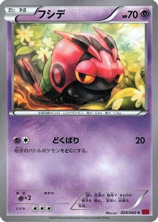 Venipede (024/060) [XY-By: Collection Y] 1st Edition