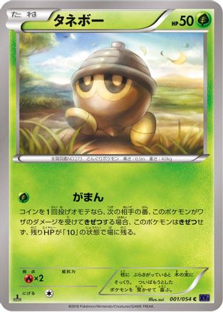 Seedot (001/054) [XY11-Bb: Fever-Burst Fighter] 1st Edition