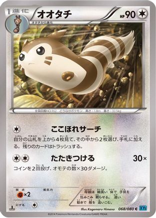 Furret (068/080) [XY2: Wild Blaze] 1st Edition