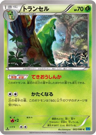 Metapod (002/080) [XY2: Wild Blaze] Unlimited