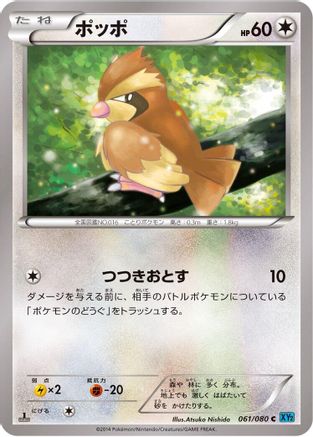 Pidgey (061/080) [XY2: Wild Blaze] Unlimited