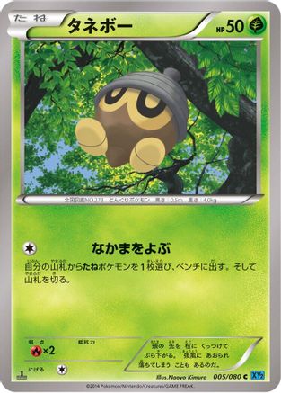 Seedot (005/080) [XY2: Wild Blaze] 1st Edition