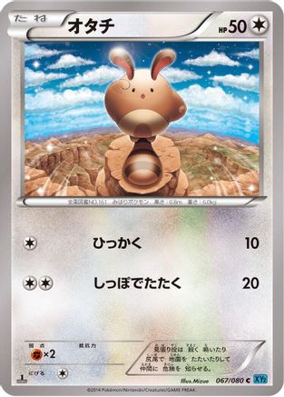 Sentret (067/080) [XY2: Wild Blaze] 1st Edition