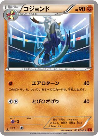 Mienshao (055/096) [XY3: Rising Fist] 1st Edition