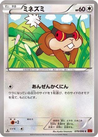 Patrat (079/096) [XY3: Rising Fist] 1st Edition