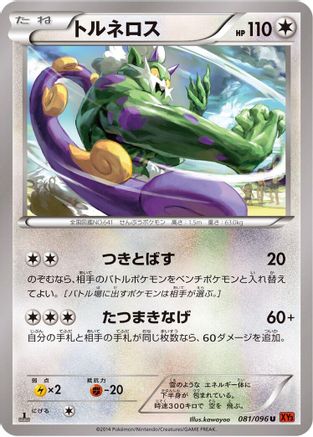 Tornadus (081/096) [XY3: Rising Fist] Unlimited
