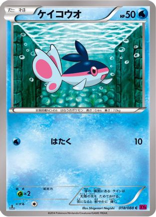 Finneon (018/088) [XY4: Phantom Gate] Unlimited