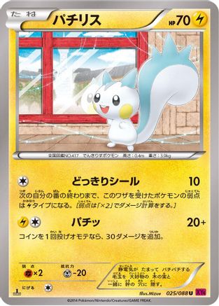 Pachirisu (025/088) [XY4: Phantom Gate] Unlimited