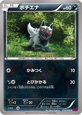 Poochyena (052/088) [XY4: Phantom Gate] 1st Edition