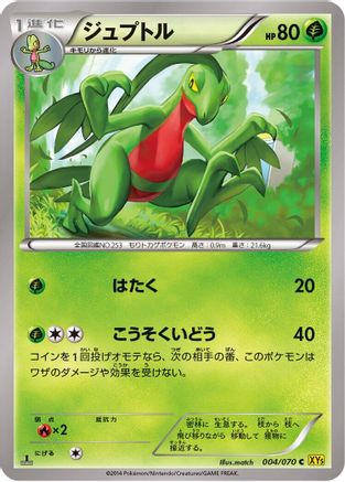 Grovyle (004/070) [XY5-Bg: Gaia Volcano] 1st Edition