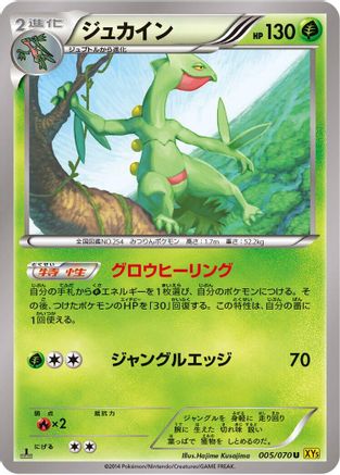 Sceptile - 005/070 (005/070) [XY5-Bg: Gaia Volcano] Unlimited