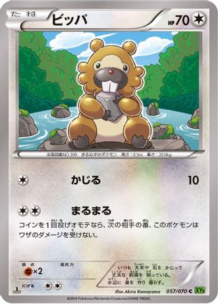 Bidoof - 057/070 (057/070) [XY5-Bt: Tidal Storm] 1st Edition