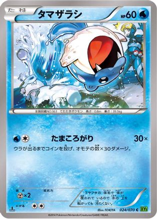 Spheal (024/070) [XY5-Bt: Tidal Storm] 1st Edition