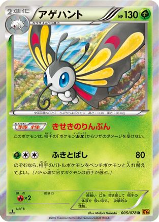 Beautifly (005/078) [XY6: Emerald Break] 1st Edition Holofoil