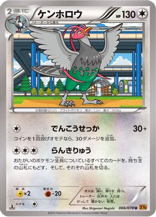 Unfezant - 066/078 (066/078) [XY6: Emerald Break] Unlimited