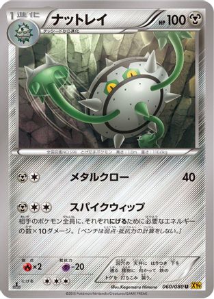 Ferrothorn (060/080) [XY9: Rage of the Broken Heavens] Unlimited