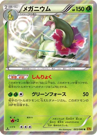 Meganium (003/080) [XY9: Rage of the Broken Heavens] 1st Edition Holofoil