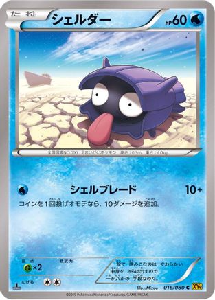 Shellder (016/080) [XY9: Rage of the Broken Heavens] 1st Edition