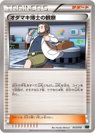 Professor Birch's Observations (013/018) [XYD: M Rayquaza-EX Mega Battle Deck]