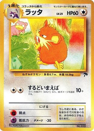 Raticate () [Southern Island]