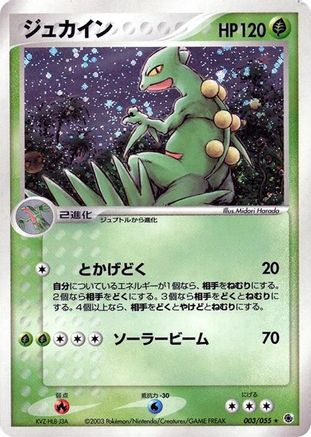Sceptile (003/055) [ADV Expansion Pack] 1st Edition Holofoil