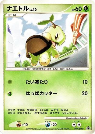 Turtwig - 017/DP-P (017/DP-P) [DP-P Promotional cards]