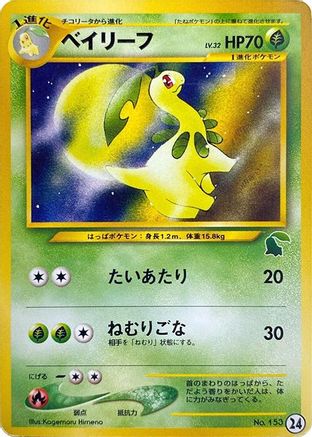 Bayleef (24) [Intro Pack Neo (Chikorita)]
