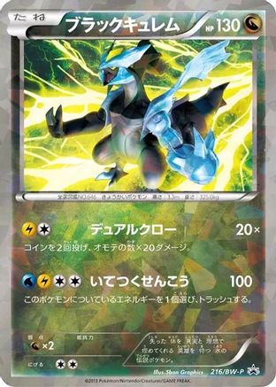 Black Kyurem - 216/BW-P (216/BW-P) [BW-P Promotional cards] Holofoil