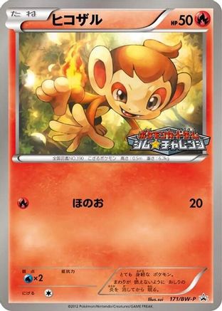 Chimchar - 171/BW-P (171/BW-P) [BW-P Promotional cards]