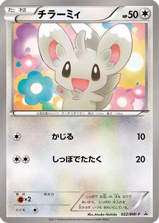 Minccino - 022/BW-P (022/BW-P) [BW-P Promotional cards]