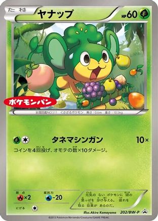 Pansage - 202/BW-P (202/BW-P) [BW-P Promotional cards]
