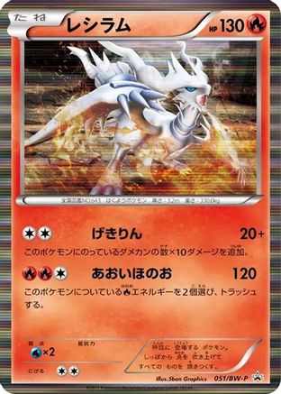 Reshiram - 051/BW-P (051/BW-P) [BW-P Promotional cards] Holofoil