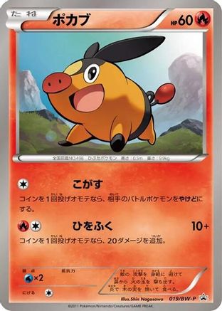 Tepig - 019/BW-P (019/BW-P) [BW-P Promotional cards]