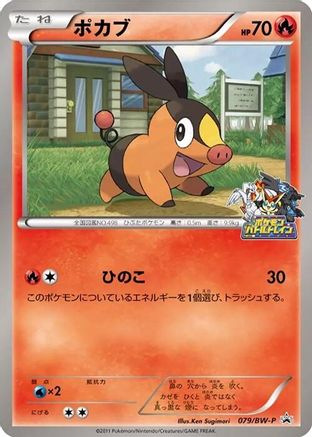 Tepig - 079/BW-P (079/BW-P) [BW-P Promotional cards]