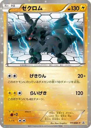 Zekrom - 111/BW-P (111/BW-P) [BW-P Promotional cards] Holofoil