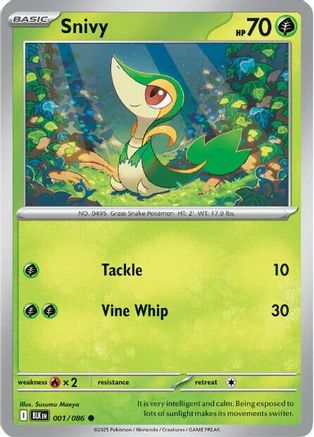 Snivy (1) [SV: Black Bolt] Holofoil