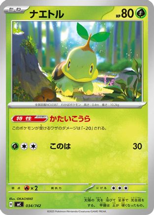 Turtwig (034/742) [Start Deck 100 Battle Collection]