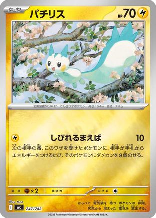 Pachirisu (247/742) [Start Deck 100 Battle Collection]