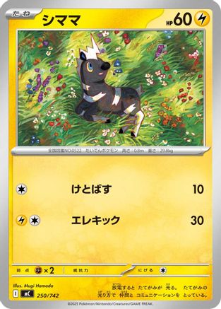 Blitzle - 250/742 (250/742) [Start Deck 100 Battle Collection]
