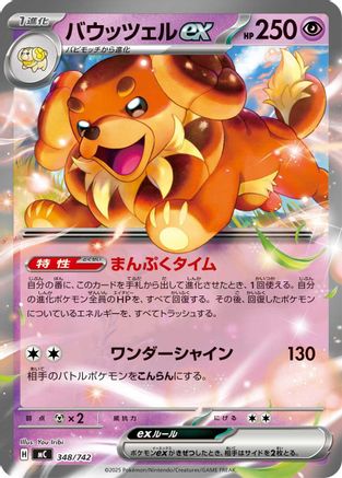 Dachsbun ex (348/742) [Start Deck 100 Battle Collection]