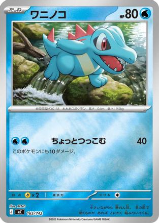 Totodile - 165/742 (Mirror Holo) (165/742) [Start Deck 100 Battle Collection] Holofoil