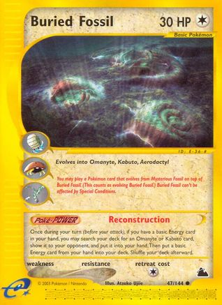 Buried Fossil (47) [Skyridge] Reverse Holofoil