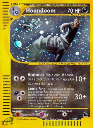 Houndoom (H11) (H11) [Skyridge] Holofoil
