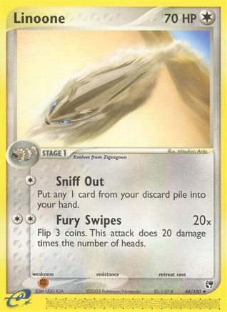 Linoone (44) [Sandstorm]