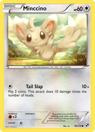 Minccino (88) [Black and White]