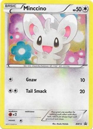 Minccino - BW13 (Cosmos Holo) (BW13) [Black and White Promos] Holofoil
