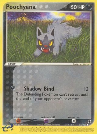 Poochyena - 65/109 (65) [Ruby and Sapphire] Reverse Holofoil