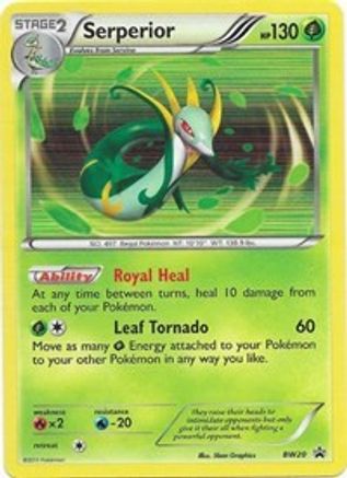 Serperior - BW20 (BW20) [Black and White Promos] Holofoil